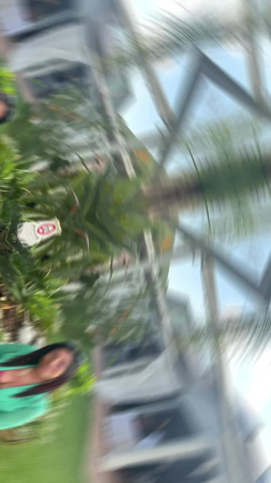 @rosariadicicco429