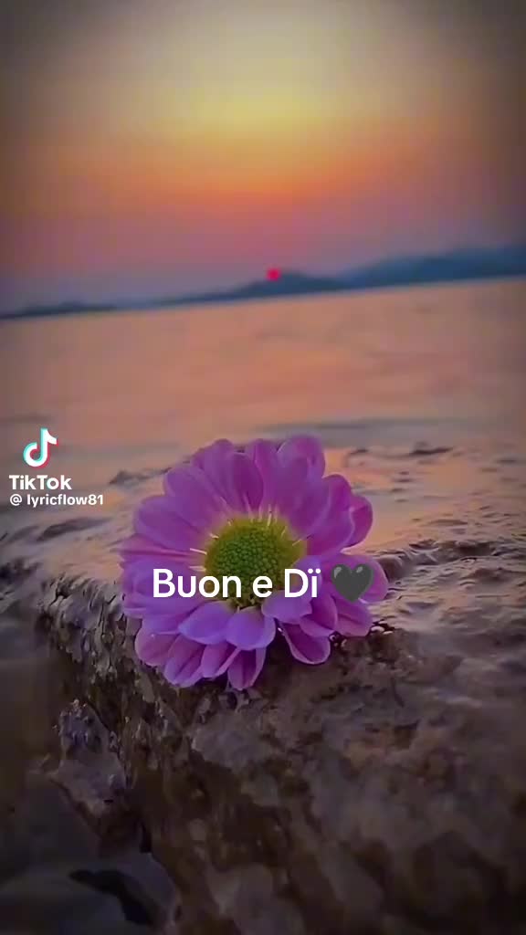 @Myself _🖤🌵_🖤¿🌵 🖤 _
