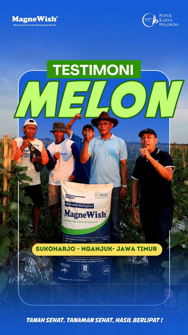 @MagneWish