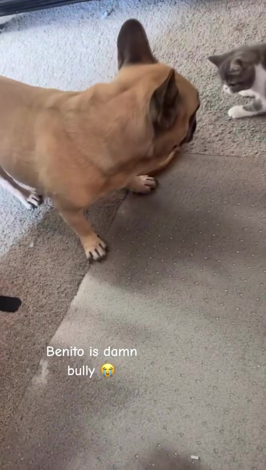 @Federico