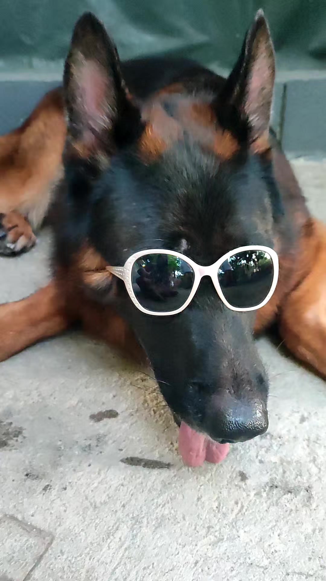 @w1nt3rbear