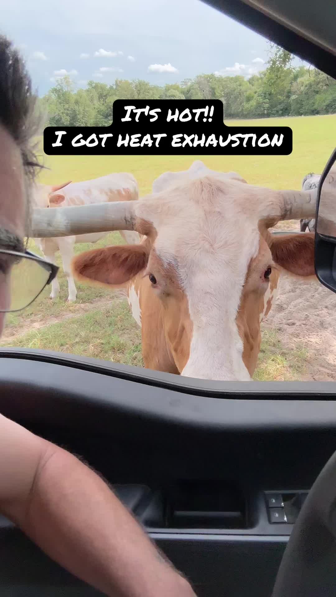 @bar_m_longhorns