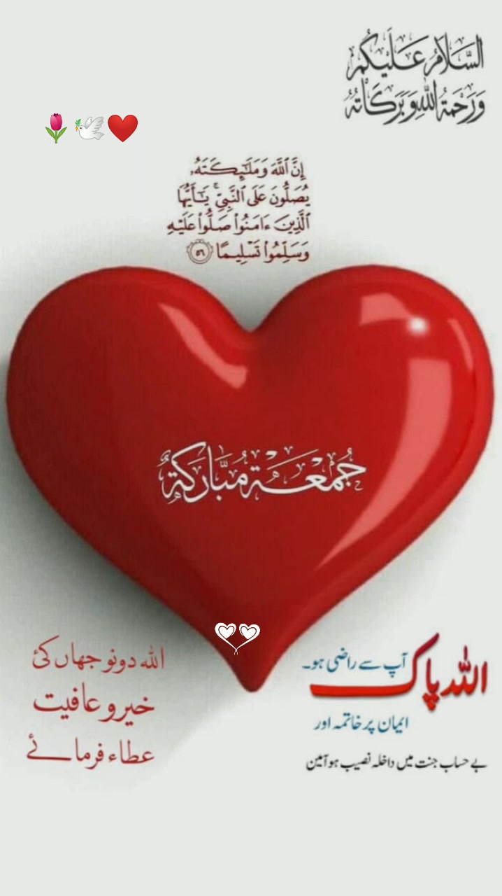 @SalmanSaeed125