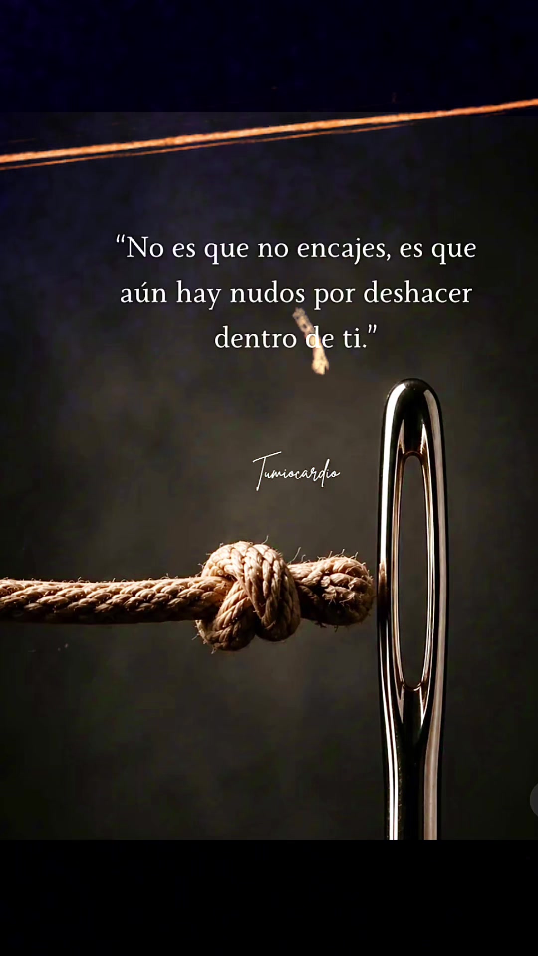 @Sergio García