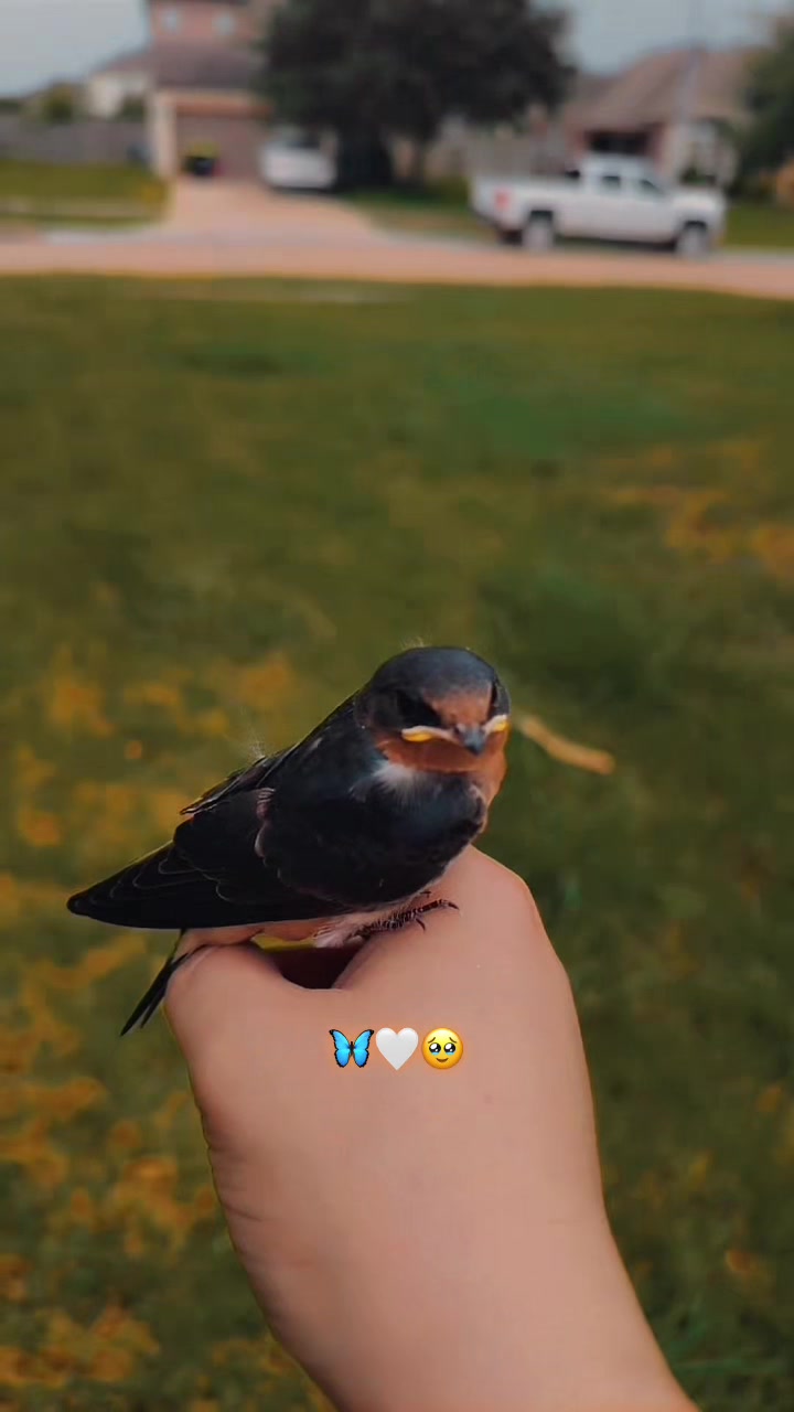 @𝓢𝓪𝓶𝓲𝓻𝓪❀
