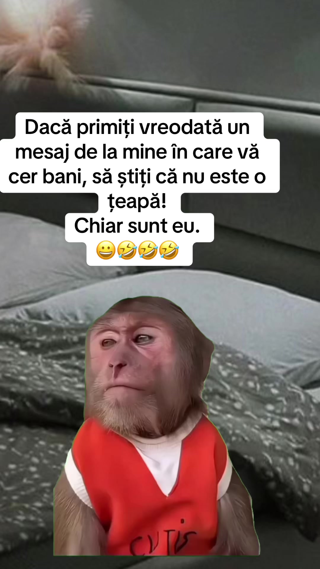 @*ð¢ðªð«ð»ðð€ð²ð©