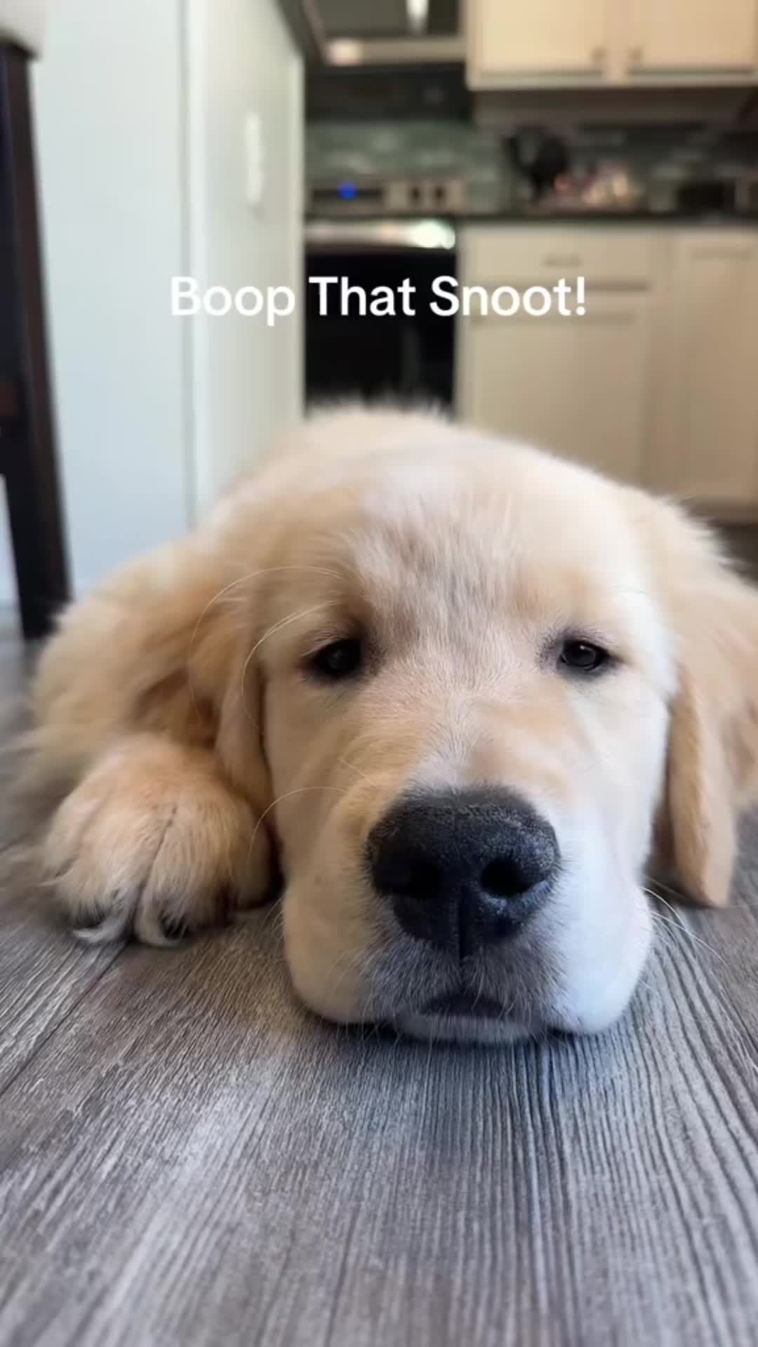 @Tucker_tha_Golden