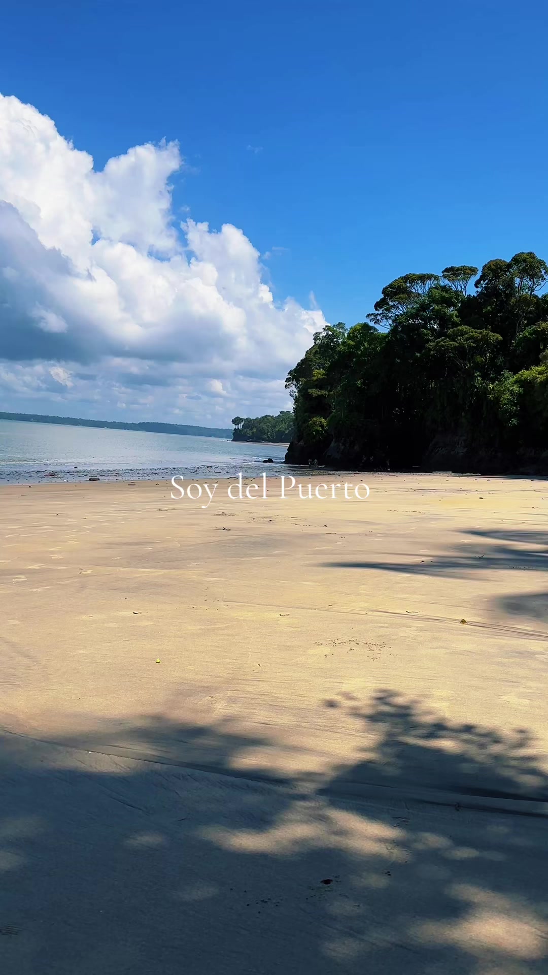 @Soy del Puerto 💛💚