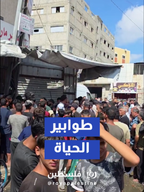 @Royapalestine رؤيا فلسطين