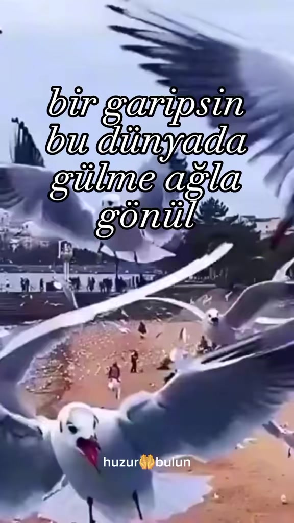 @HUZURBUL.tv