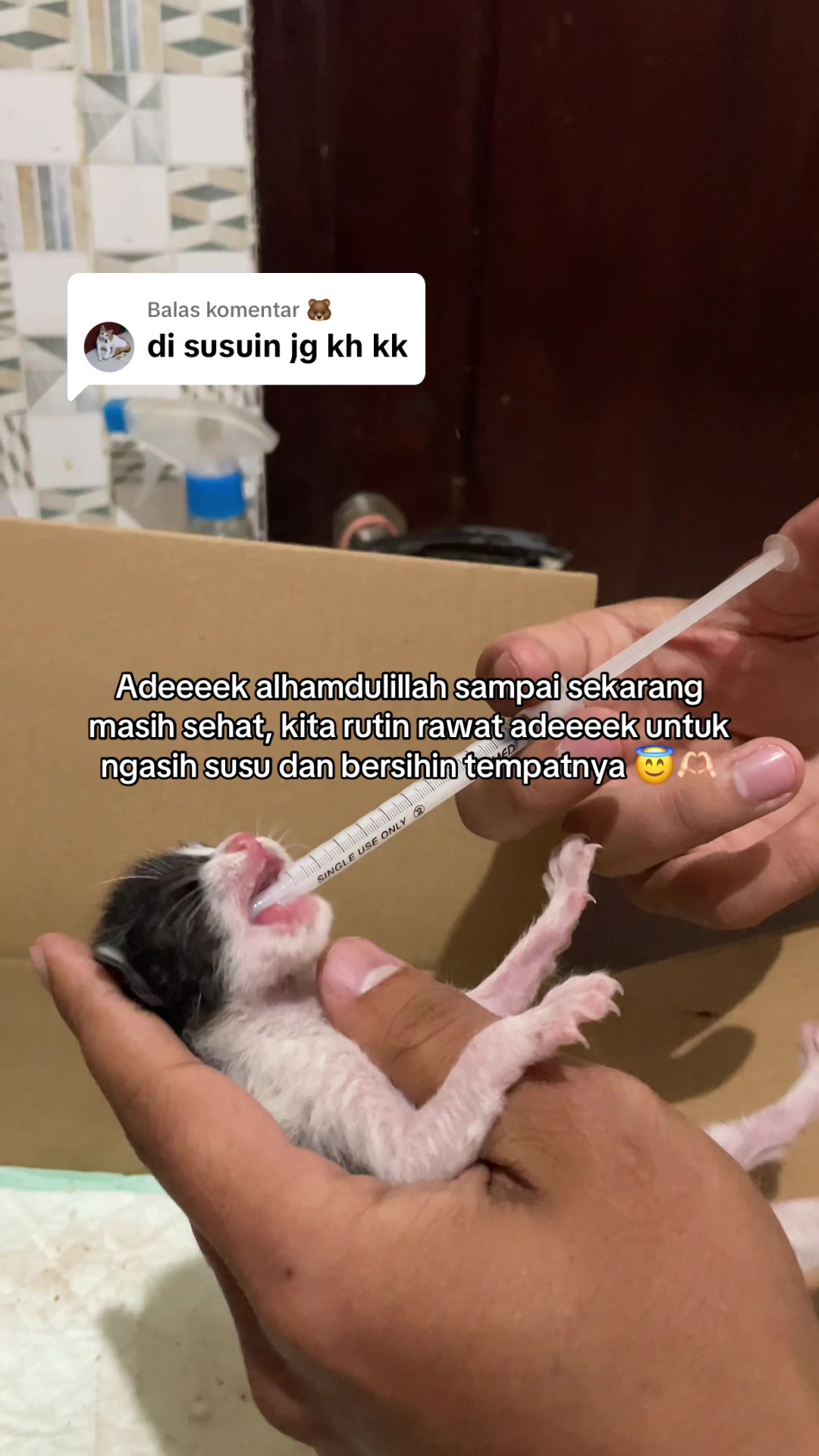 @biskuit&cimul