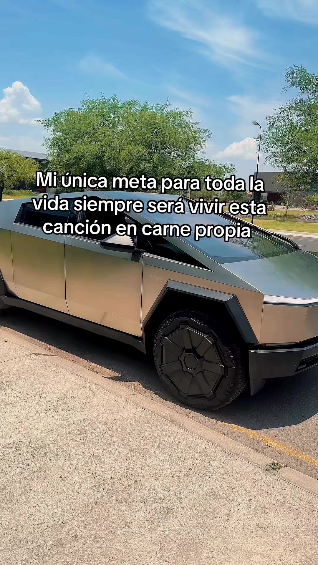 @Fernanda Büter