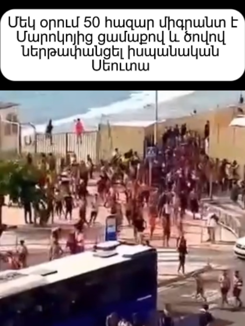 @Armlife