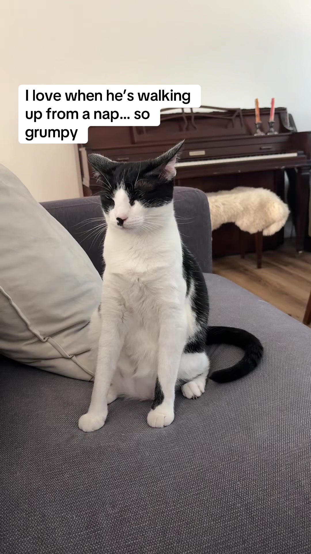 @Christina | Cat Rescue 🐾