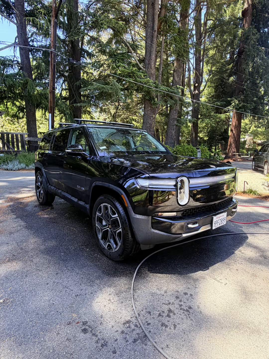 @Apex Auto Spa🦈