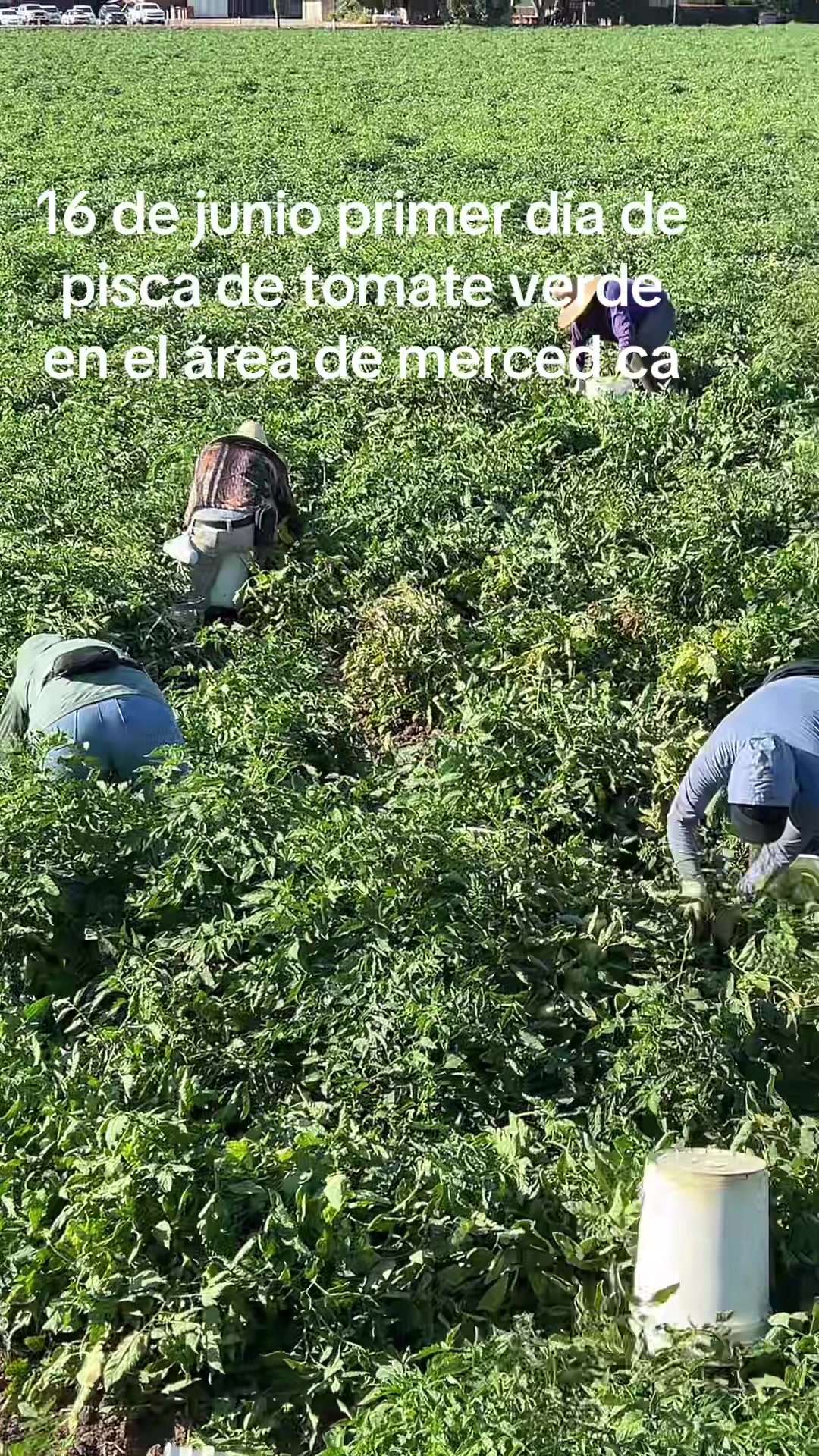 @blanco10