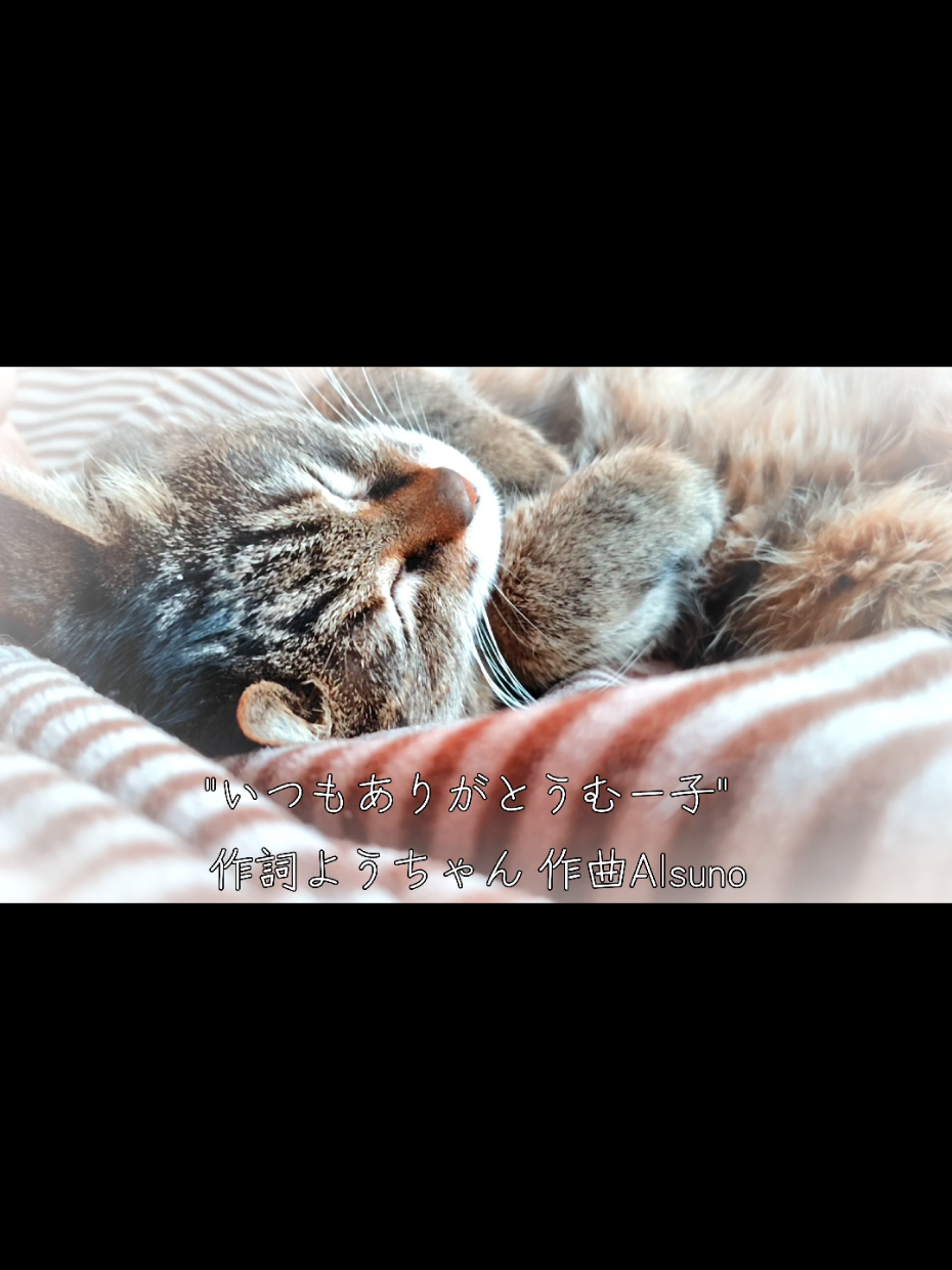@ようちゃんAnimalPetTV