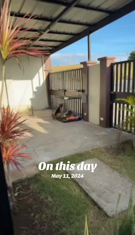@iAmRheese
