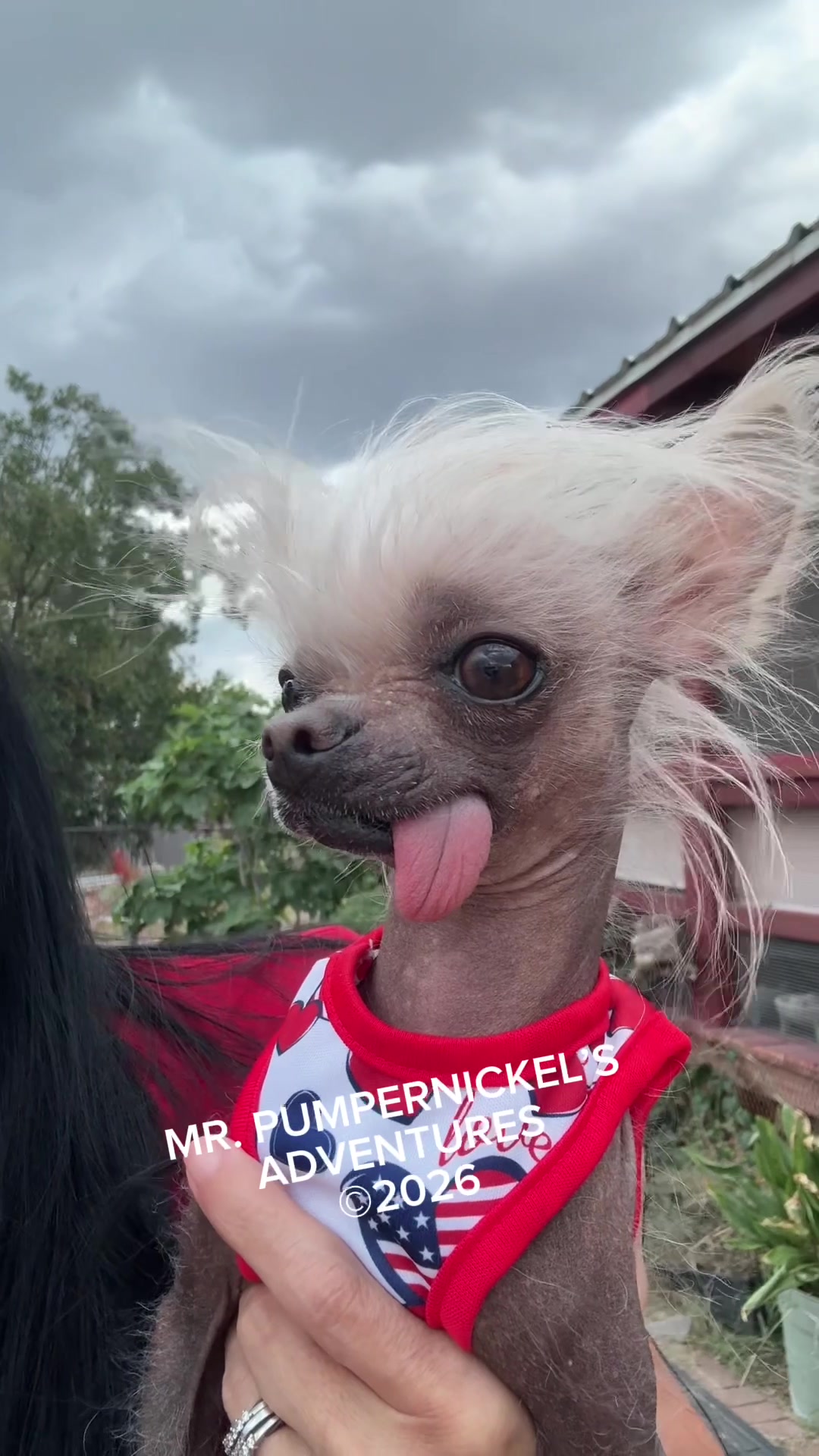 @Mr. Pumpernickel
