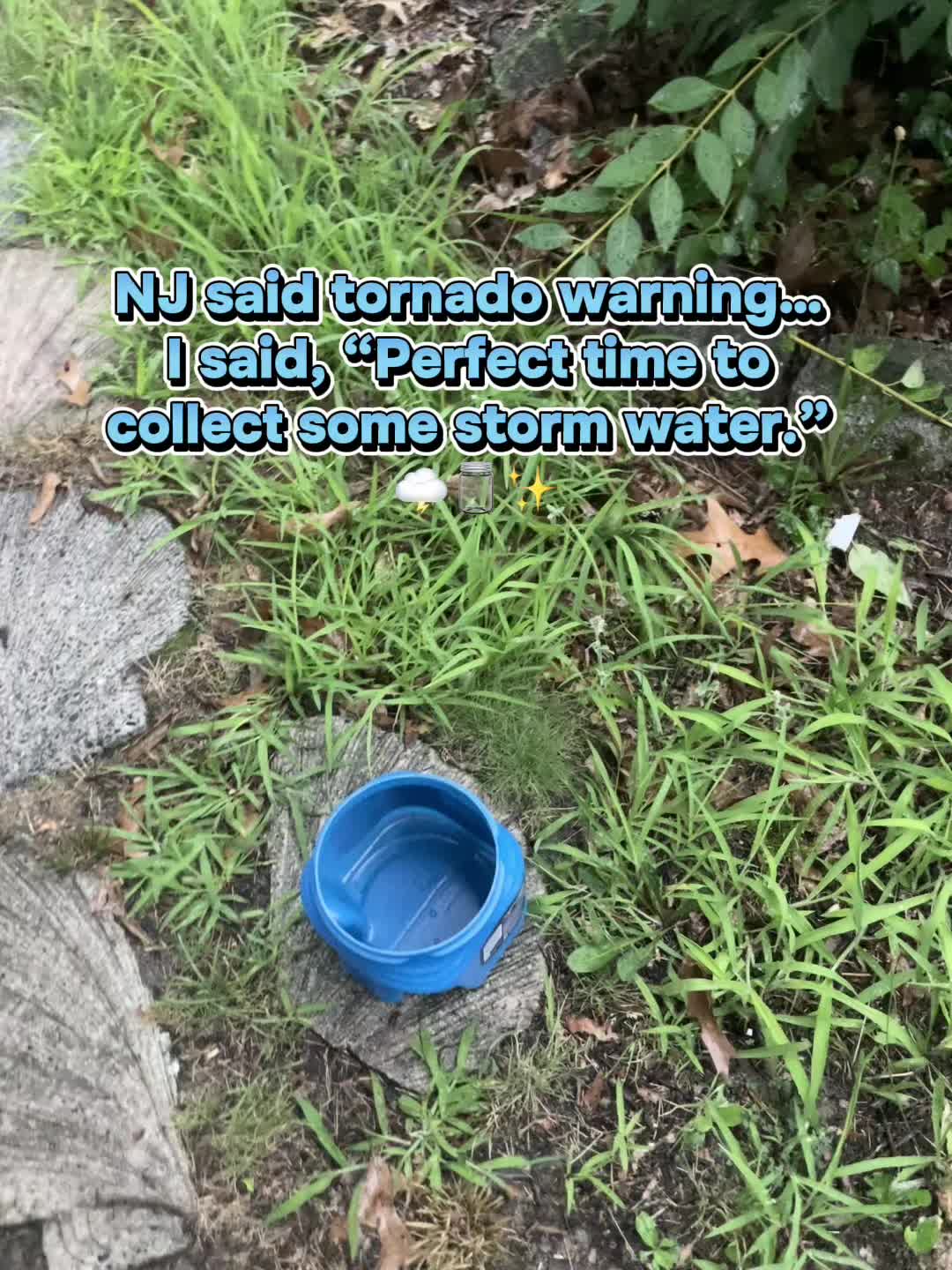 @Witchnextdoor