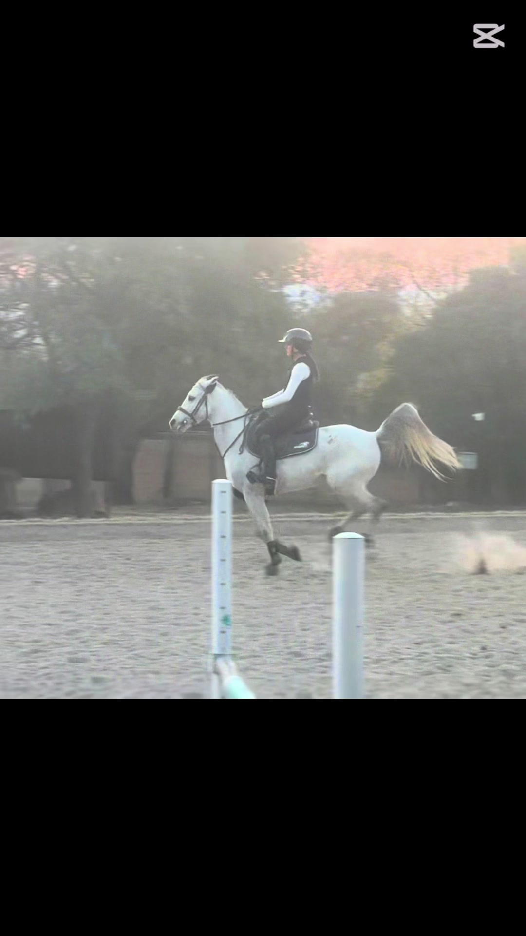 @Jay equestrian
