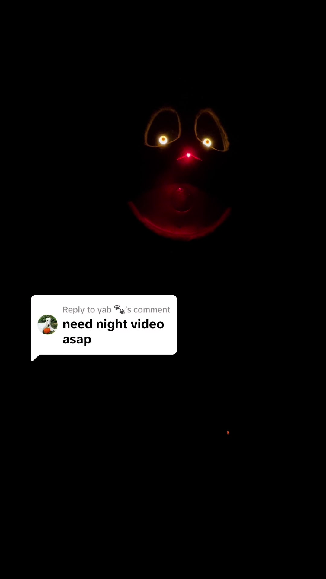 @Spooky Guy444