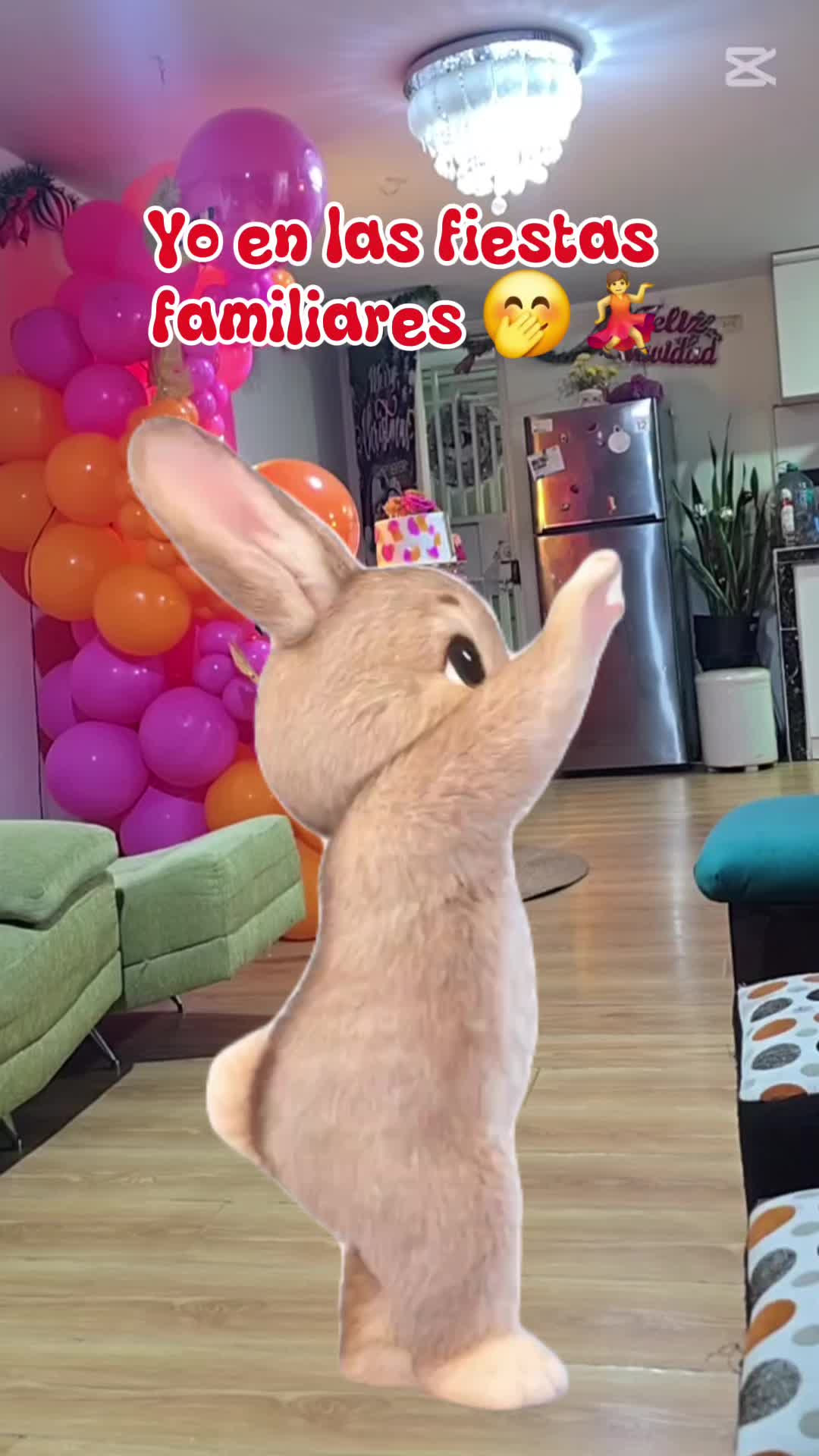 @Barbara Roo