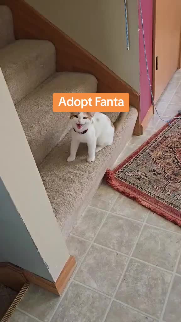@2x2 Rescue