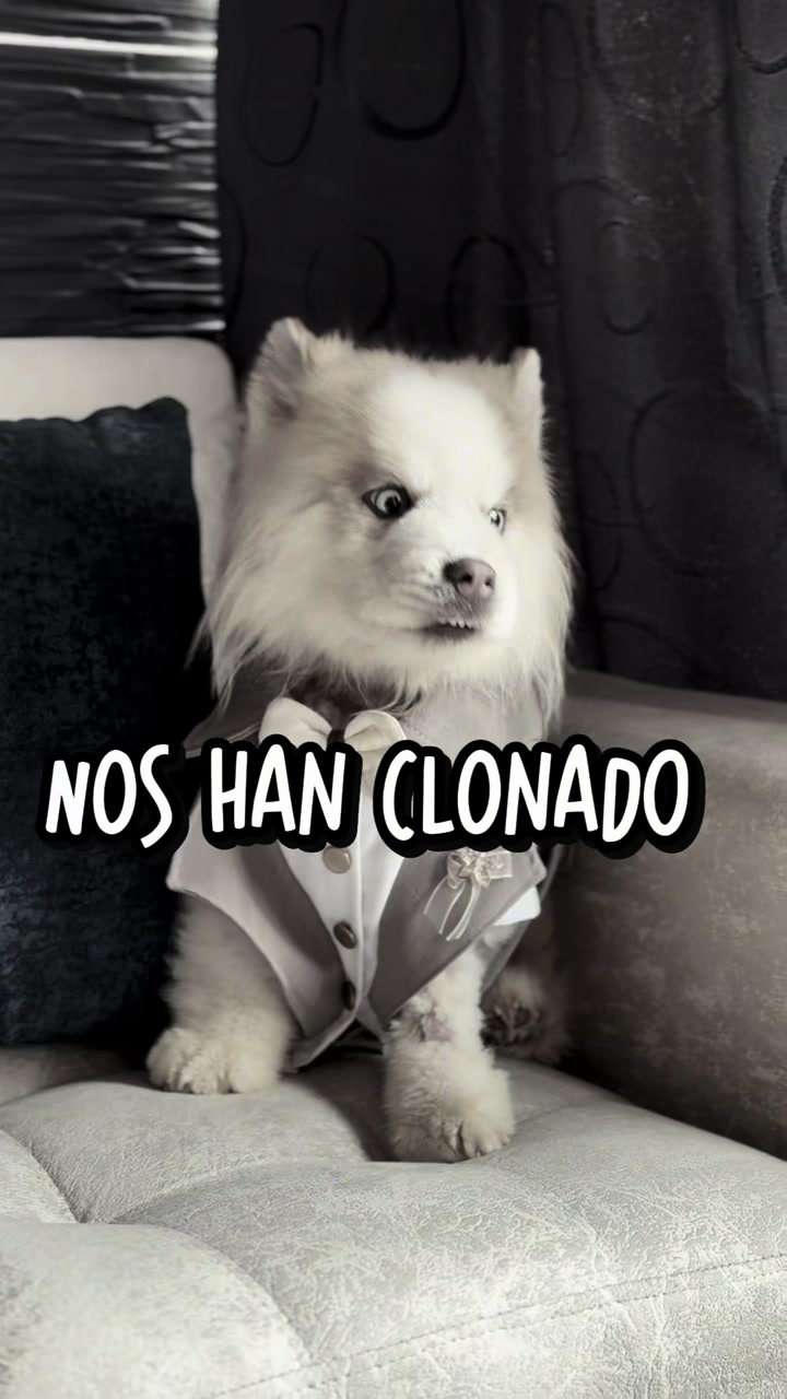 @🐺MiFamiliadehuskies🐾
