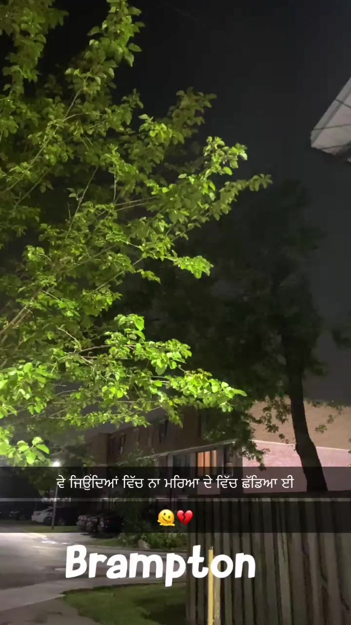 @🐙