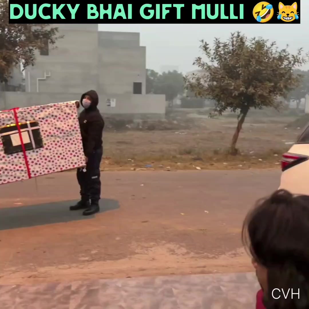 @viral creator hub