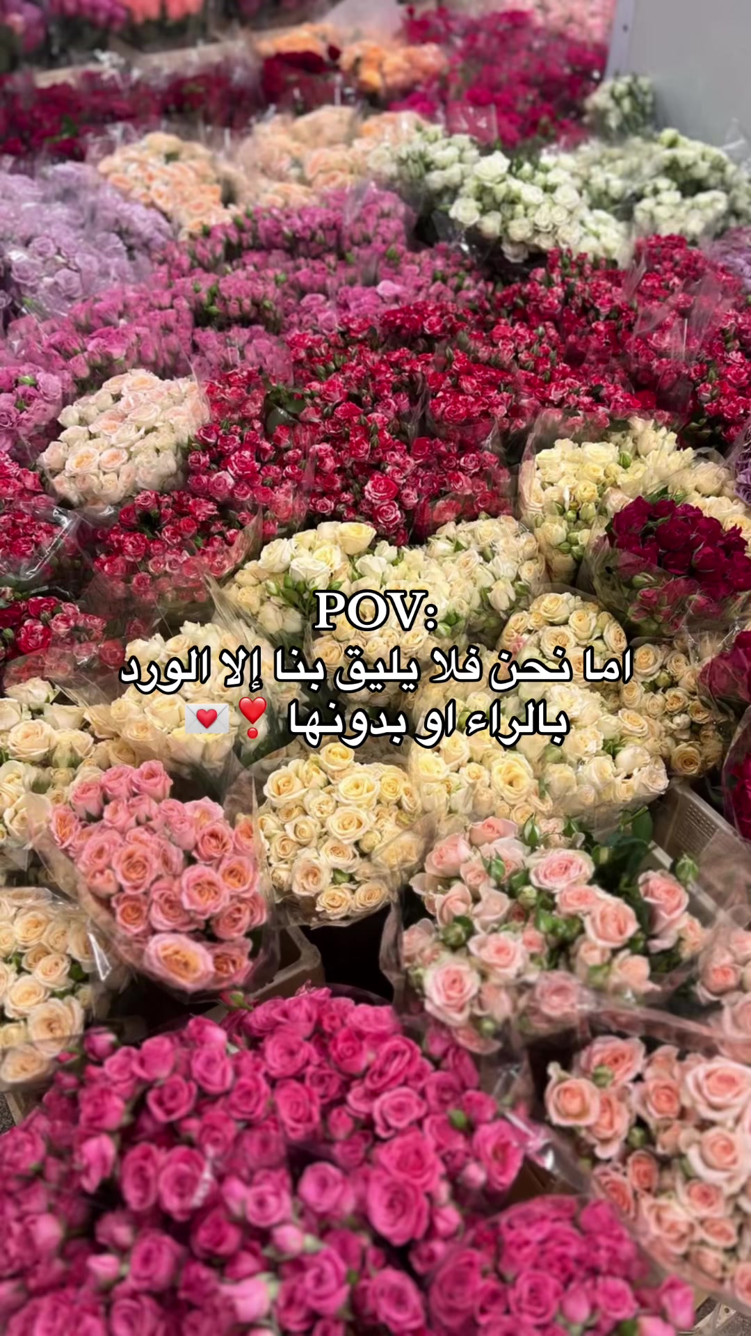 @هدايا خميس مشيط