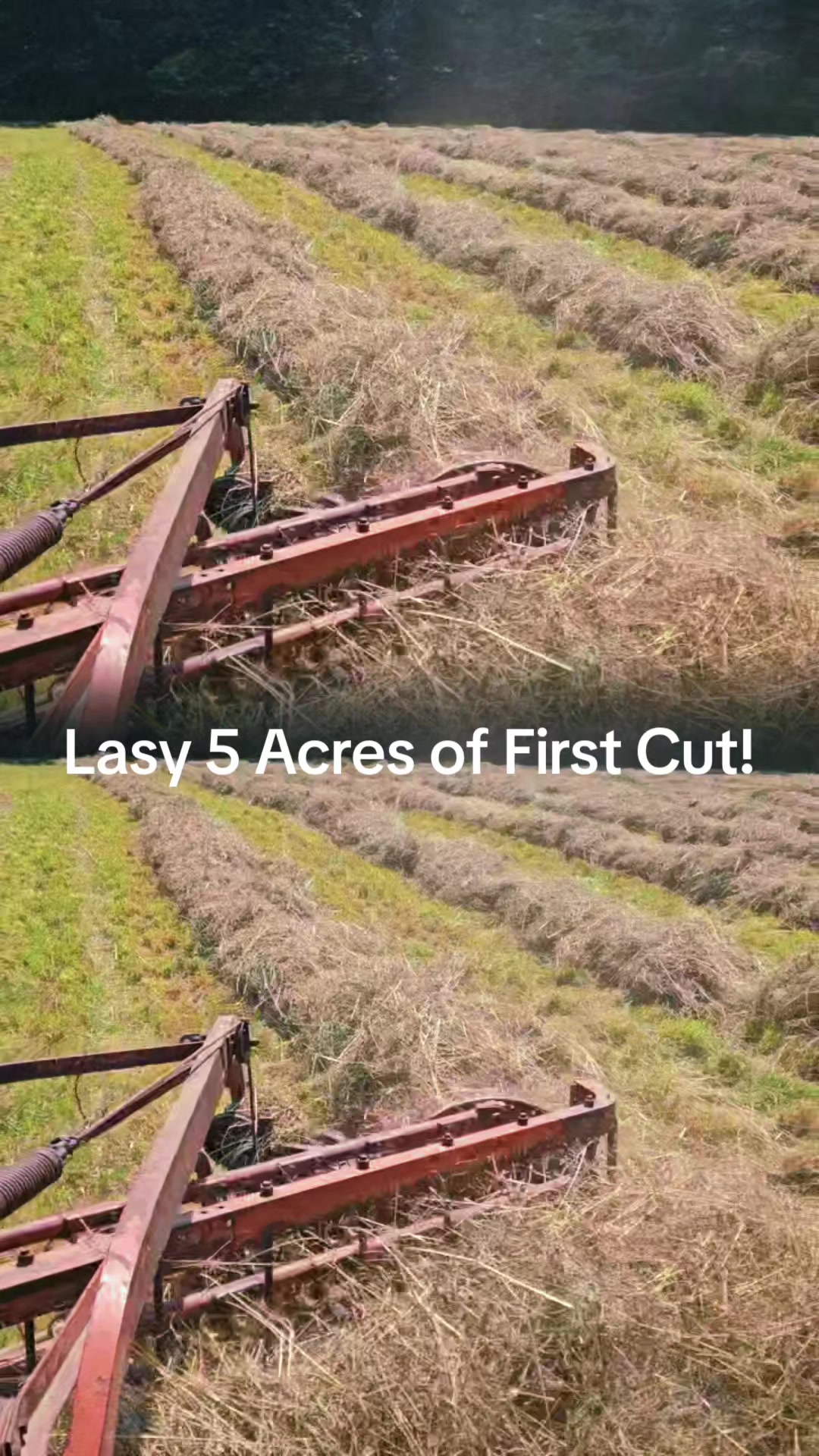 @Contraban Farms