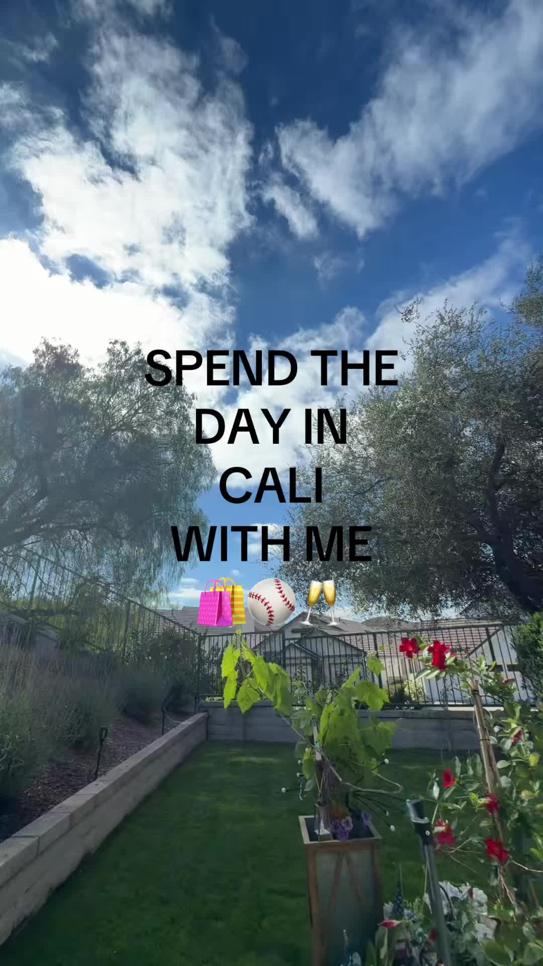 @veronica camacho