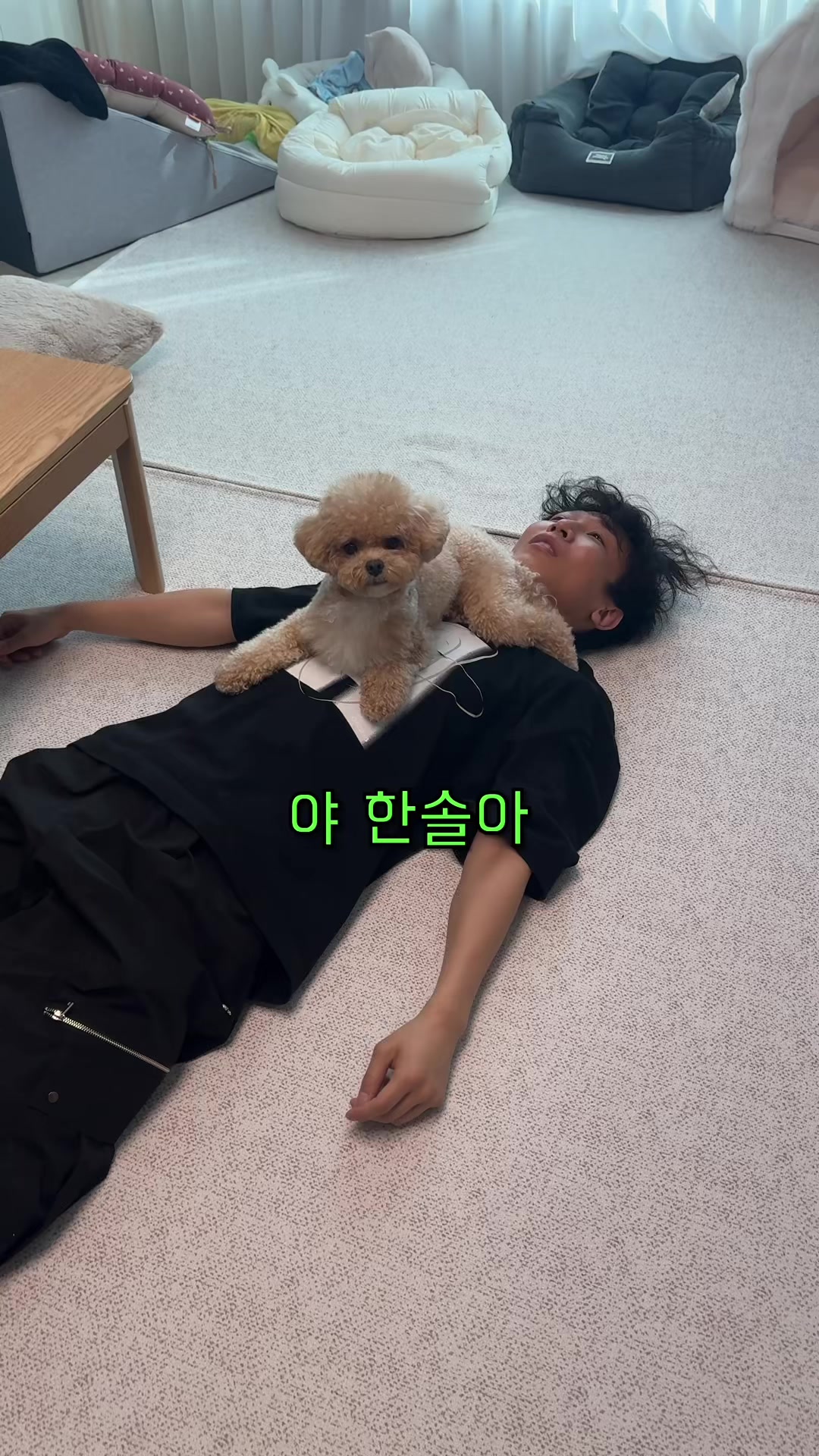 @원샷한솔