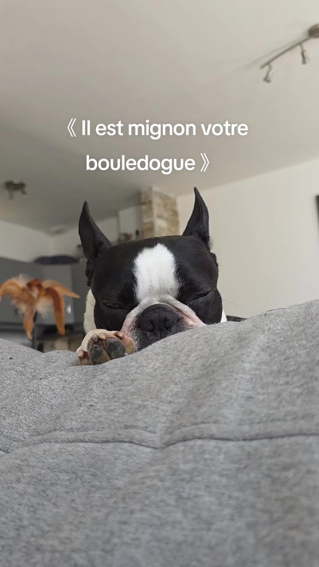@tokyo_Le_boston
