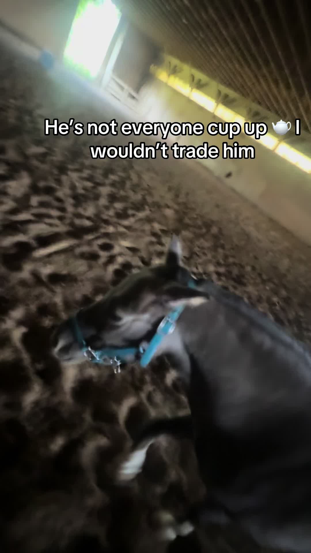 @cj