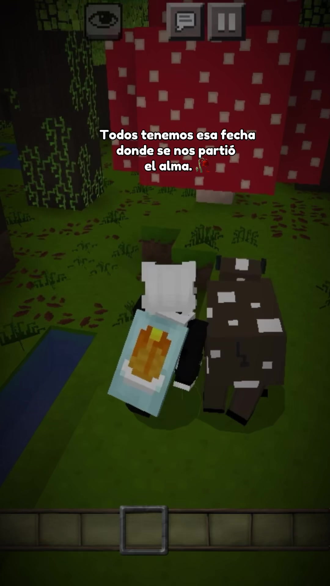 @pretty_19mex