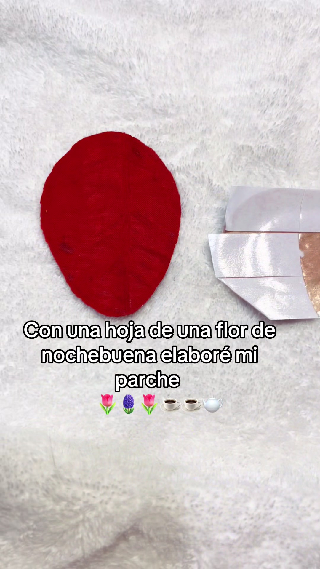 @Lareinadelosparchesvlogs