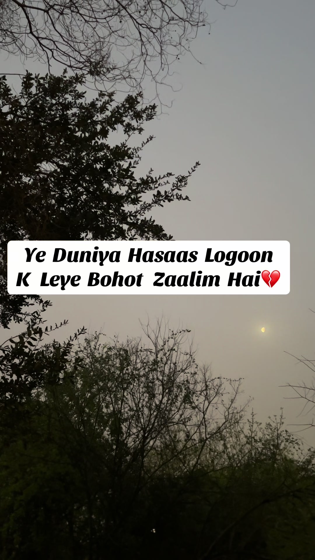 @ZaraHayat020104