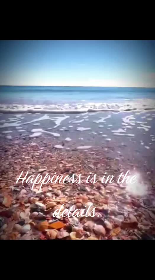 @Moment Of Happiness