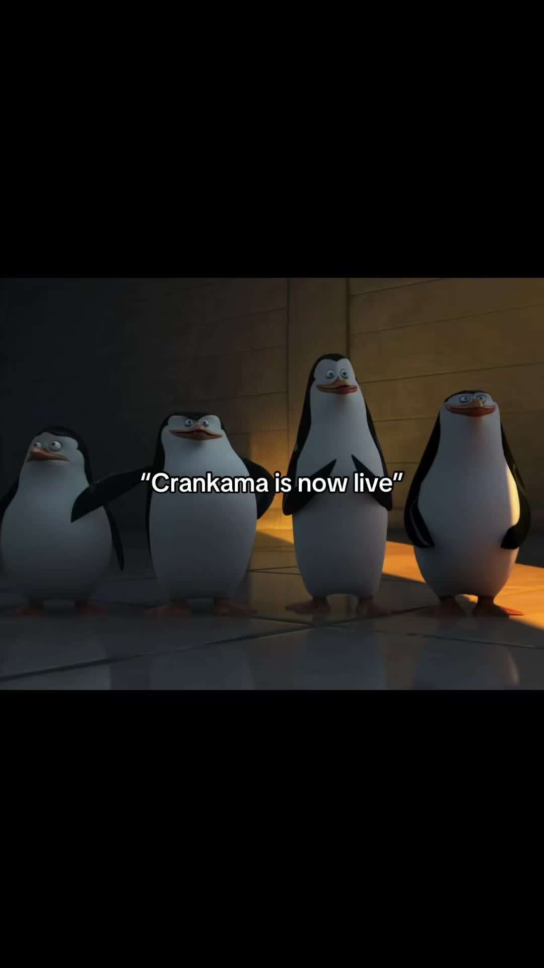 @𝘼𝙅