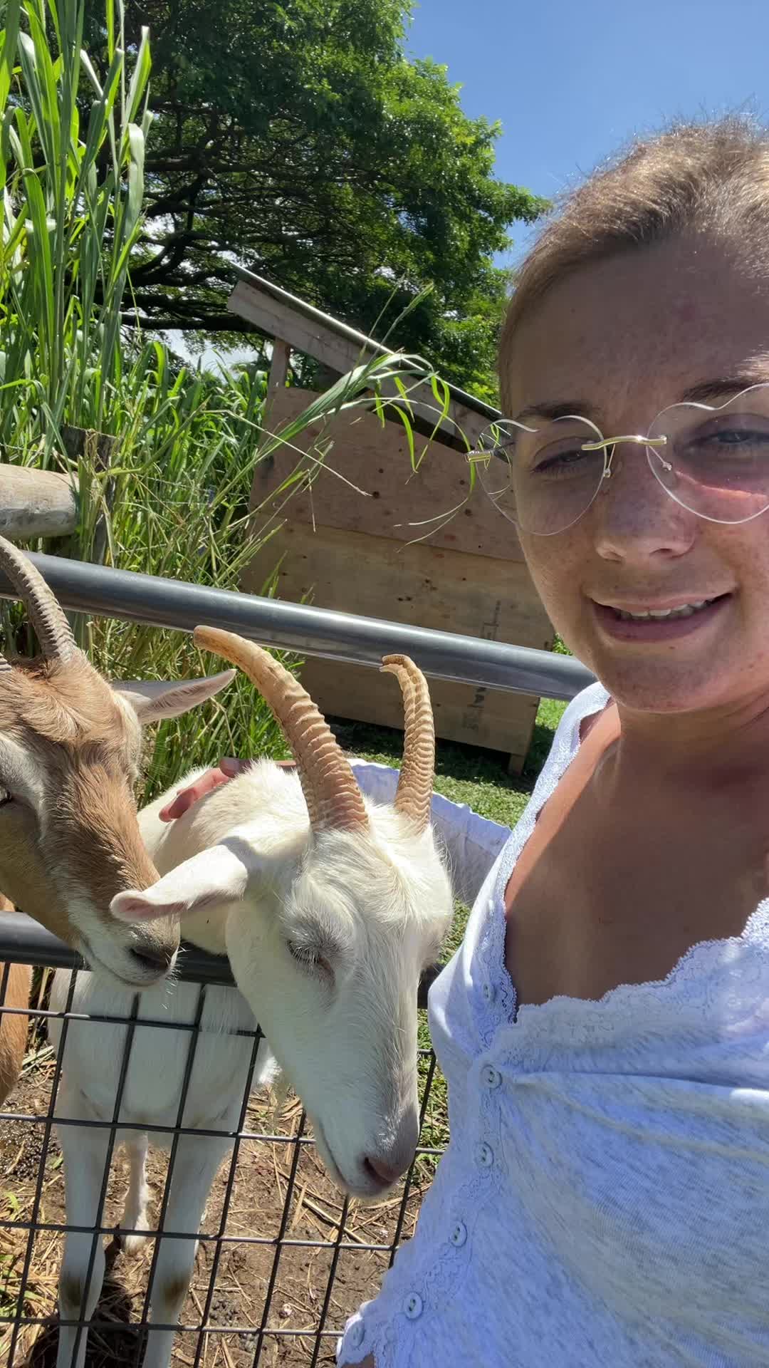 @junglefairyfarm