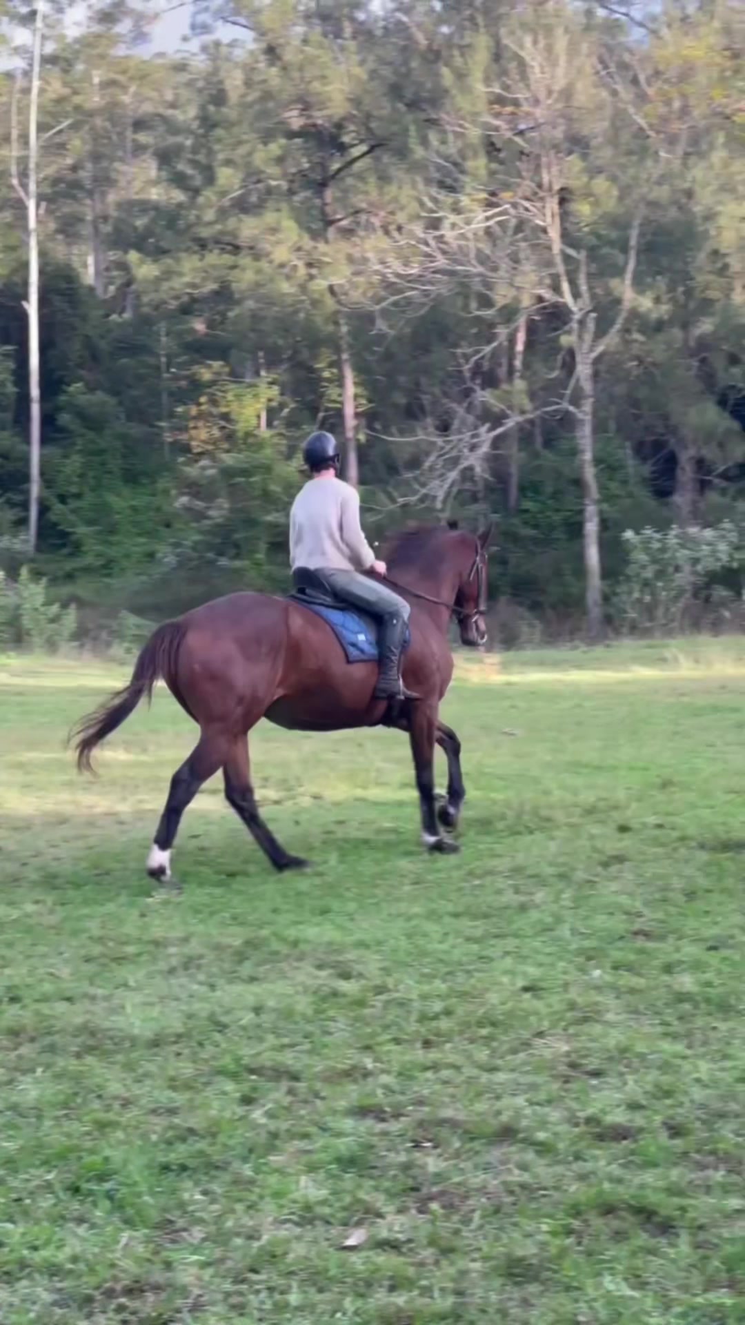 @Double F Performance Horses