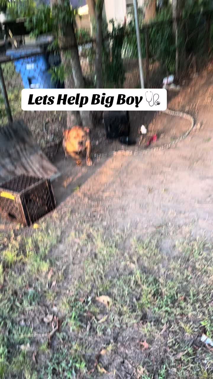 @babymommatokin