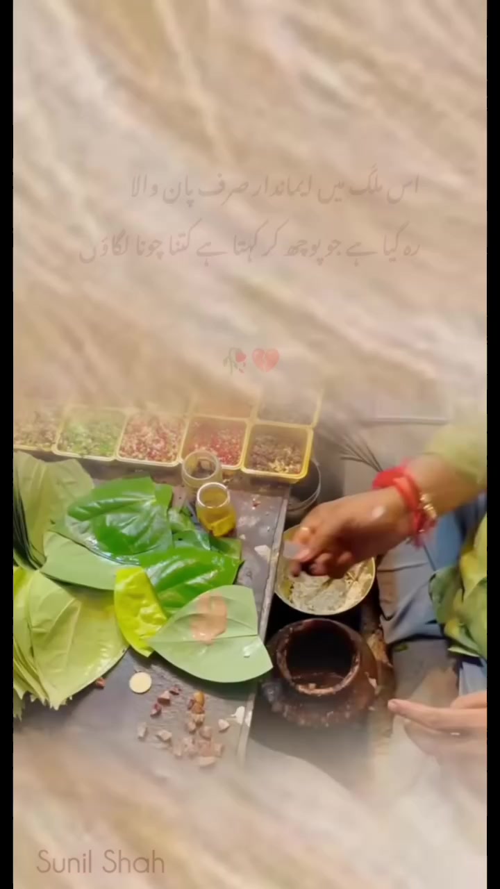 @fatmadoll588