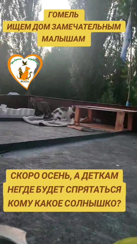 @Марина