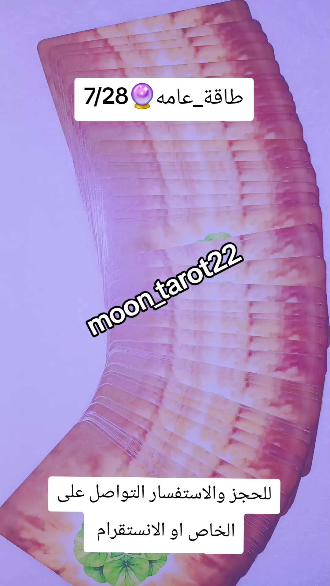 @moon_tarot22