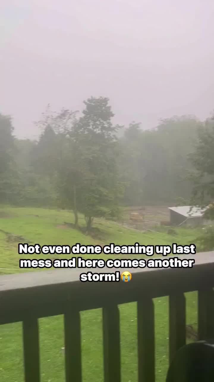 @Gypsy Rose Farm, LLC