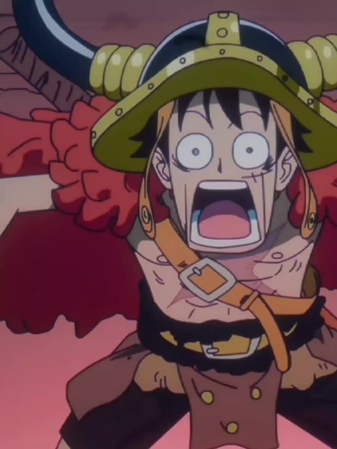 @Roronoa Anime ⚓